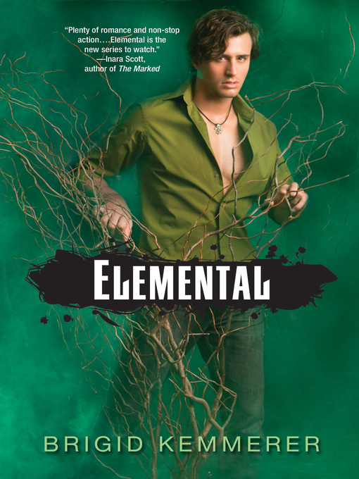 Brigid Kemmerer创作的Elemental作品的详细信息 - 可供借阅